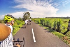 Touring Bali 2016